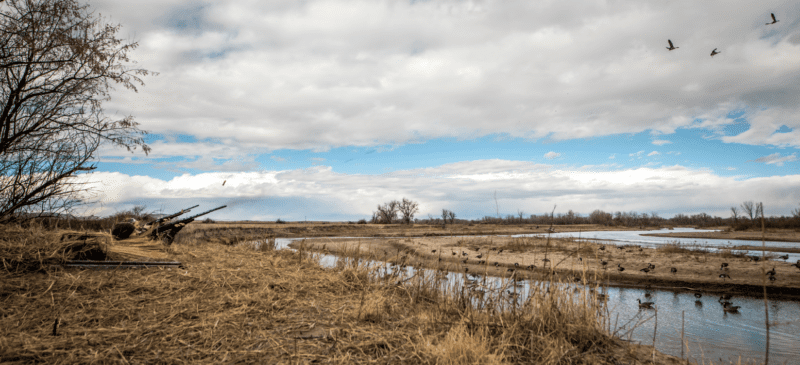 hunters in pit blind