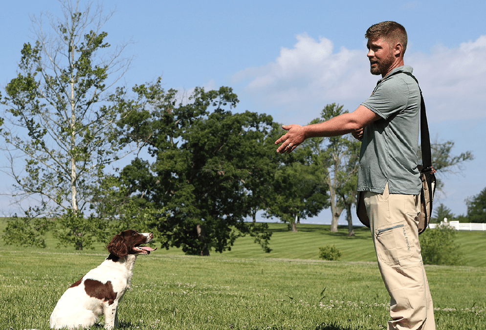 The Cocker World’s Dog Whisperer