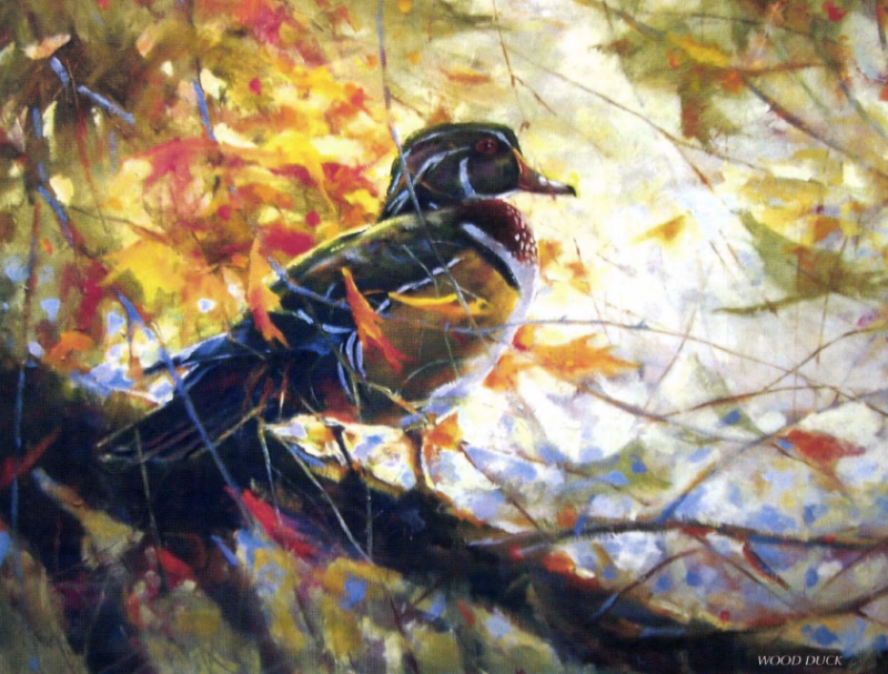 Wood duck painting