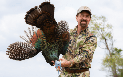 Yucatan’s Ocellated Turkey