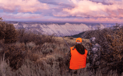 High Altitude Elk and Low Light Hogs