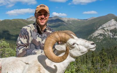 Four Sheep, Four Cartridges, One Nosler Complete North American Grand Slam