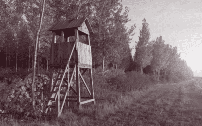 Hunting Blinds From 1960-2020