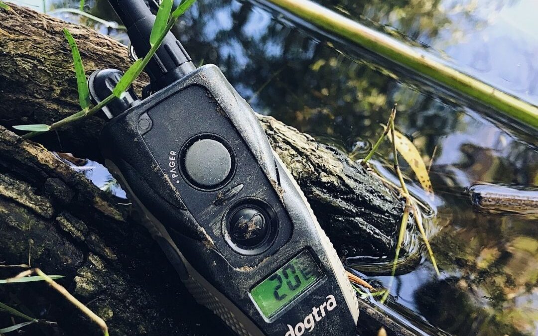 Dogtra Products Receive IPX9K Durability and Waterproof Rating