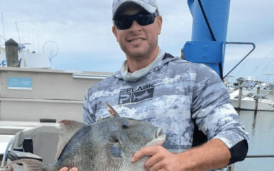 Maryland New Triggerfish State Record