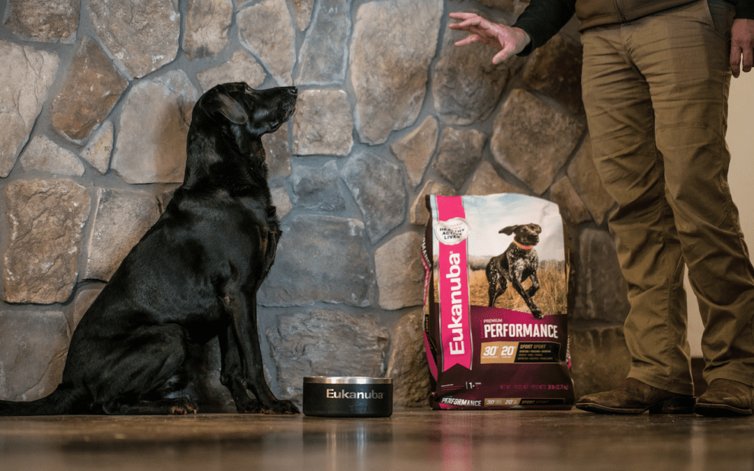 Eukanuba Launches Premium Performance – A New Breed of Performance Fuel for Sporting and Working Dogs