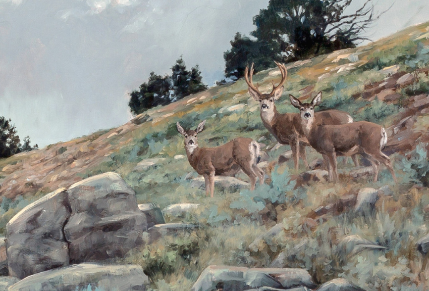 Miracle Mule Deer - Sporting Classics Daily