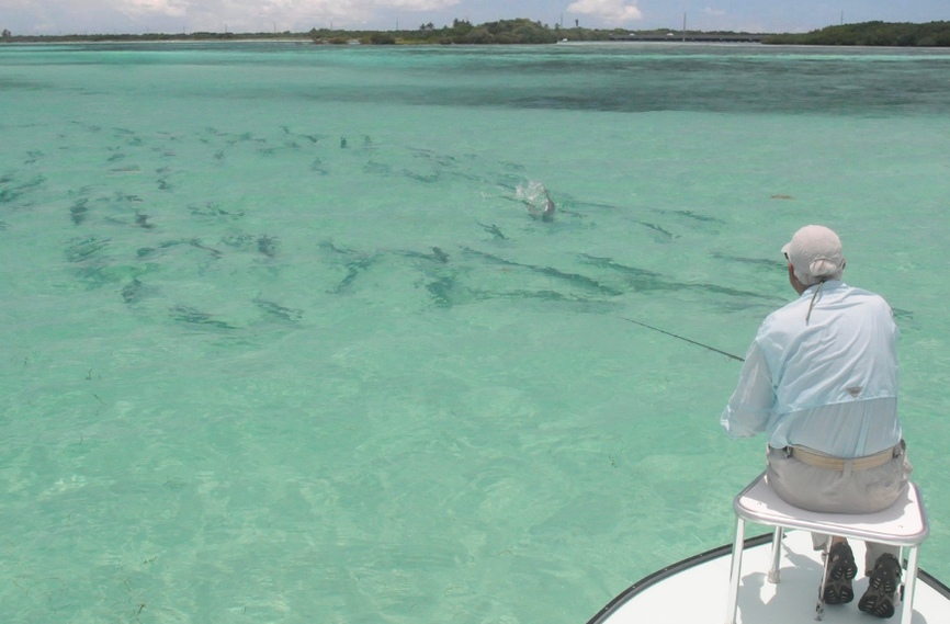 Enjoying the Sunshine and the Thrill of Tarpon Fishing