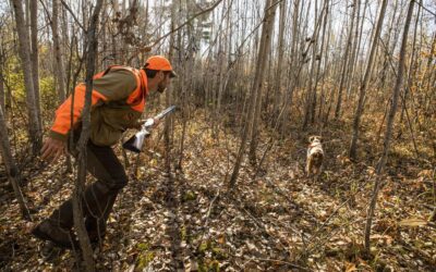 Want To Help The Environment? Then Start Cutting Trees.