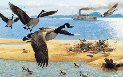 Tips on Preparing Waterfowl for the Table