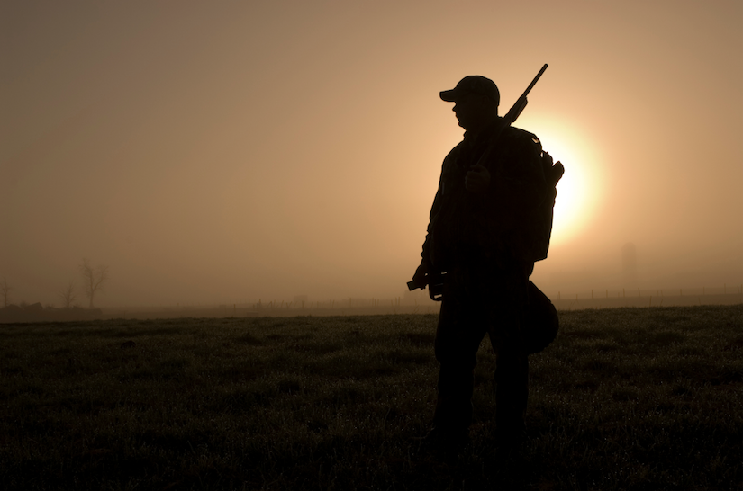 The Unpredictability of Hunting…and Life