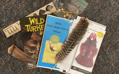 Idaho Fish and Game’s Project WILD Goes Virtual with WILD About Turkeys Workshop