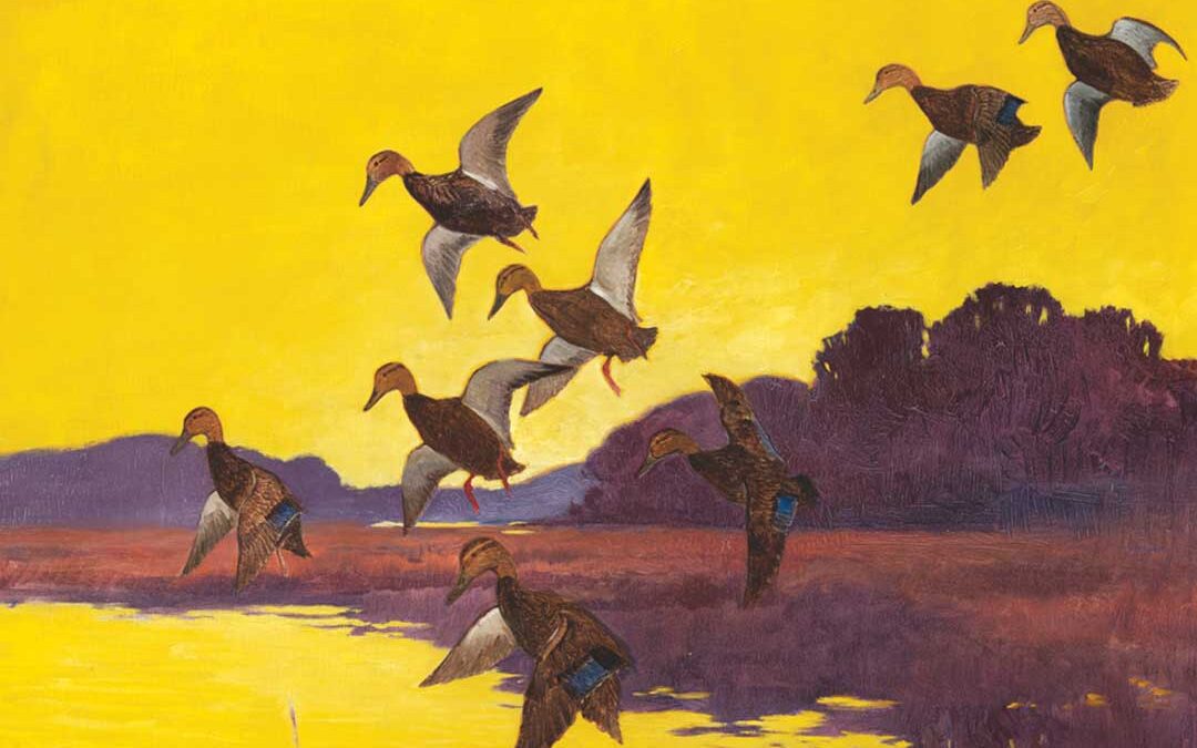 Dowsing, Ducks, Dynamite and Damnation