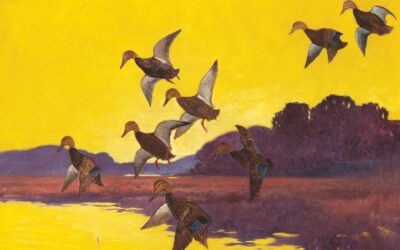 Dowsing, Ducks, Dynamite and Damnation