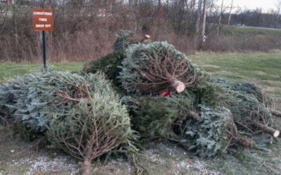 Kentucky’s “Christmas for the Fishes” Creates Fish Habitats