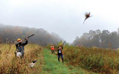 The High-Quality, High-Quantity Hunting Lodge