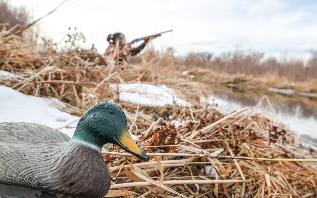 Safety Tips for an Icy Waterfowl Season Sporting Classics Daily