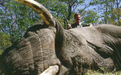 Elephant Hunting: Because Their Lives Depend On It