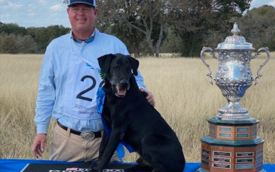 Eukanuba Pro Trainer Wins U.S. National Open Retriever Championship