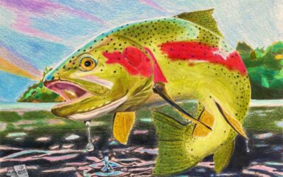 Fish Art Contest Casting For Entries