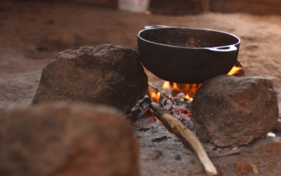 How to Prepare Game Stock for Cooking