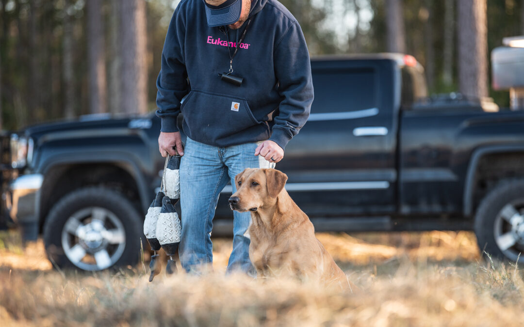 Improving Sporting Dog Focus in the Field and Blind