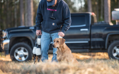 Improving Sporting Dog Focus in the Field and Blind