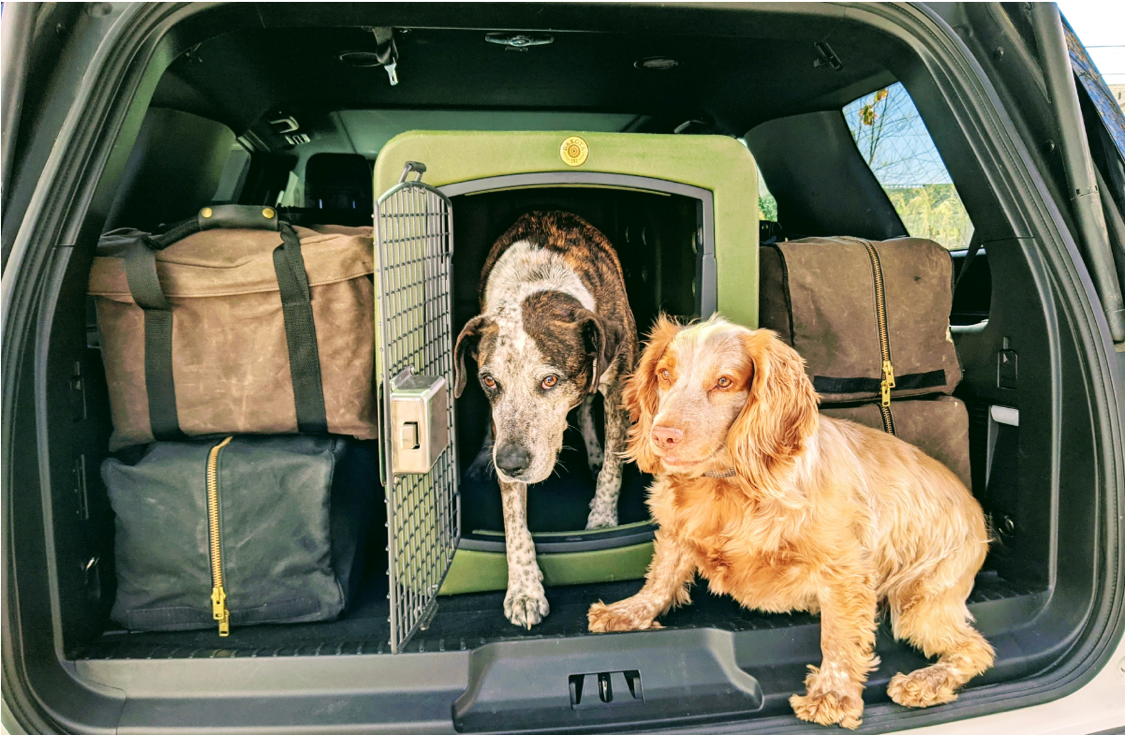 crushable vault in truck with gundogs