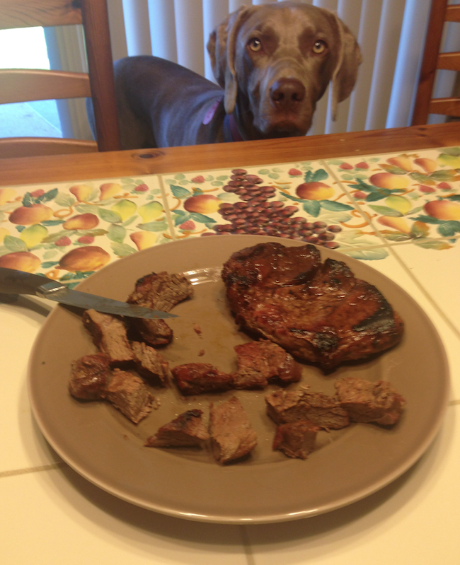 weimaraner dog birthday steak dinner
