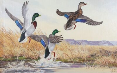 Decoys, Etchings and More Waterfowl Art at Copley’s Upcoming Auction