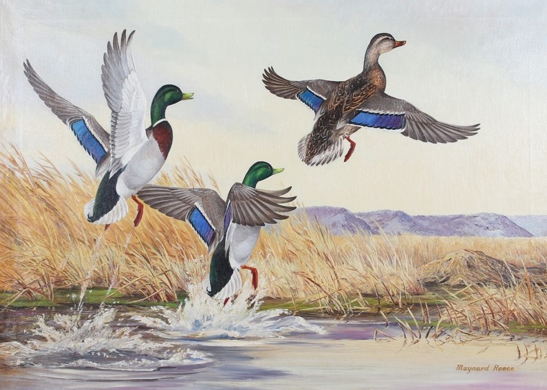 Decoys, Etchings and More Waterfowl Art at Copley’s Upcoming Auction