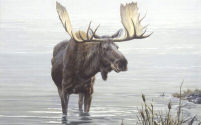 The Final Charge: Roosevelt’s Bull Moose