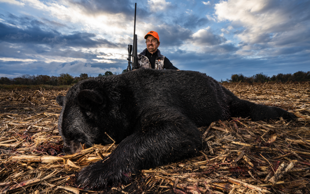 Hunting 500+ Pound Black Bears in “North Bear-olina”