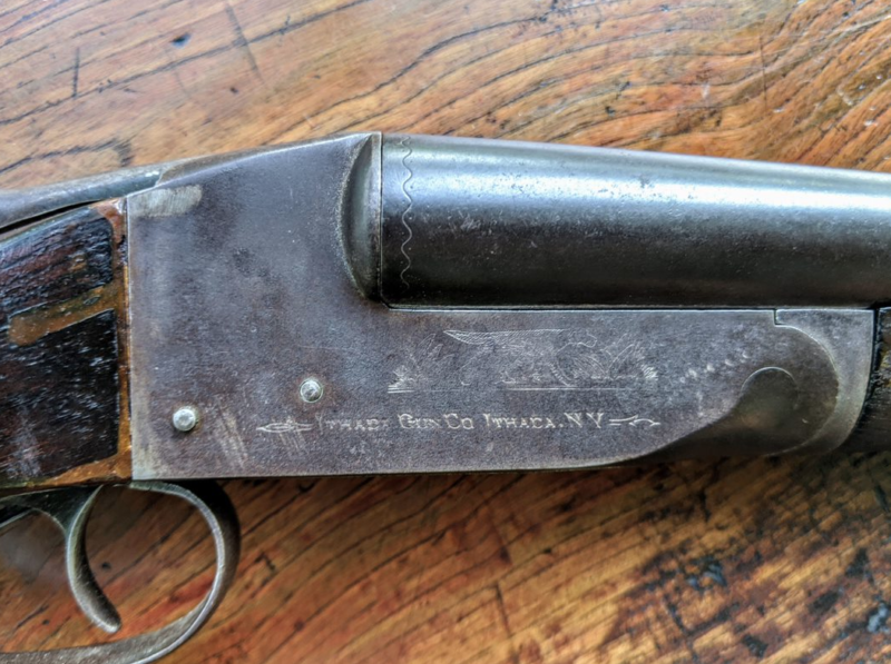Legacies Lost and Found: The Ithaca 20 Gauge | Smith And Wesson Forums