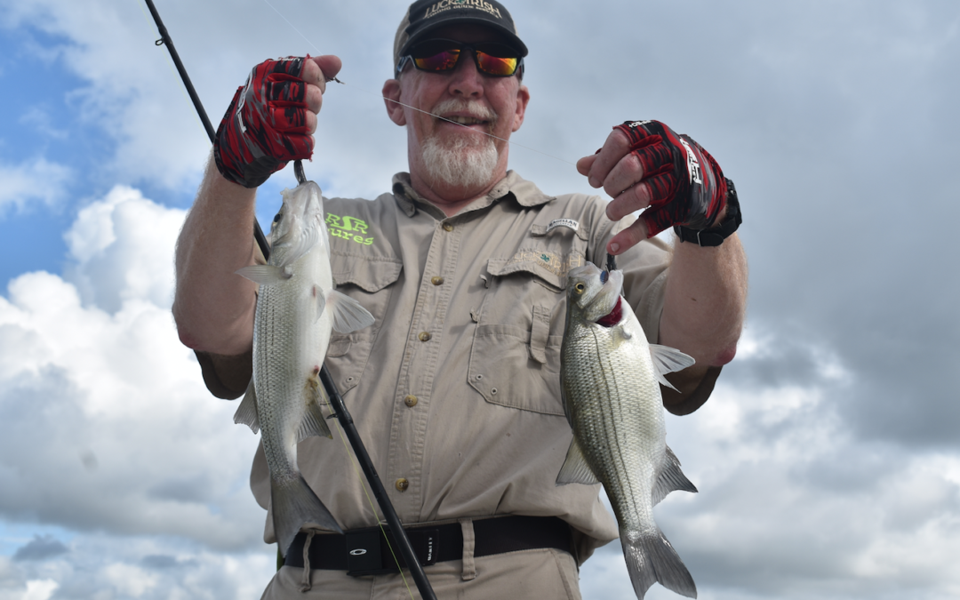 White Bass the Most Fished-For Species?