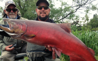 Eagles, Bears and Kings on the Alagnak River