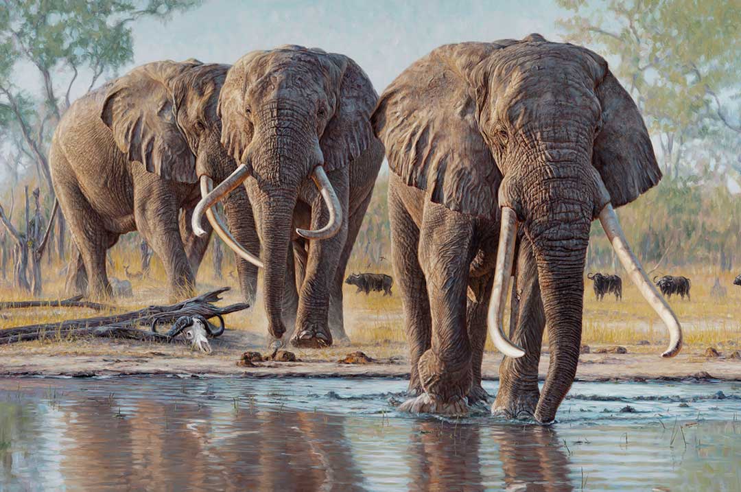 Two for Two: Selous’ Double on Elephants