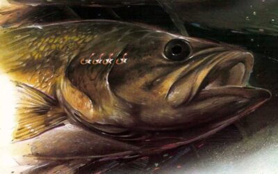 No More Mr. Nice Guy