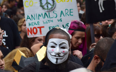 Who Really Helps Animal Rights?