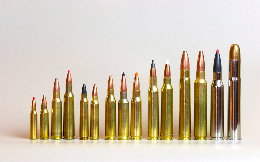 6.5 Creedmoor vs. 300 Win Mag