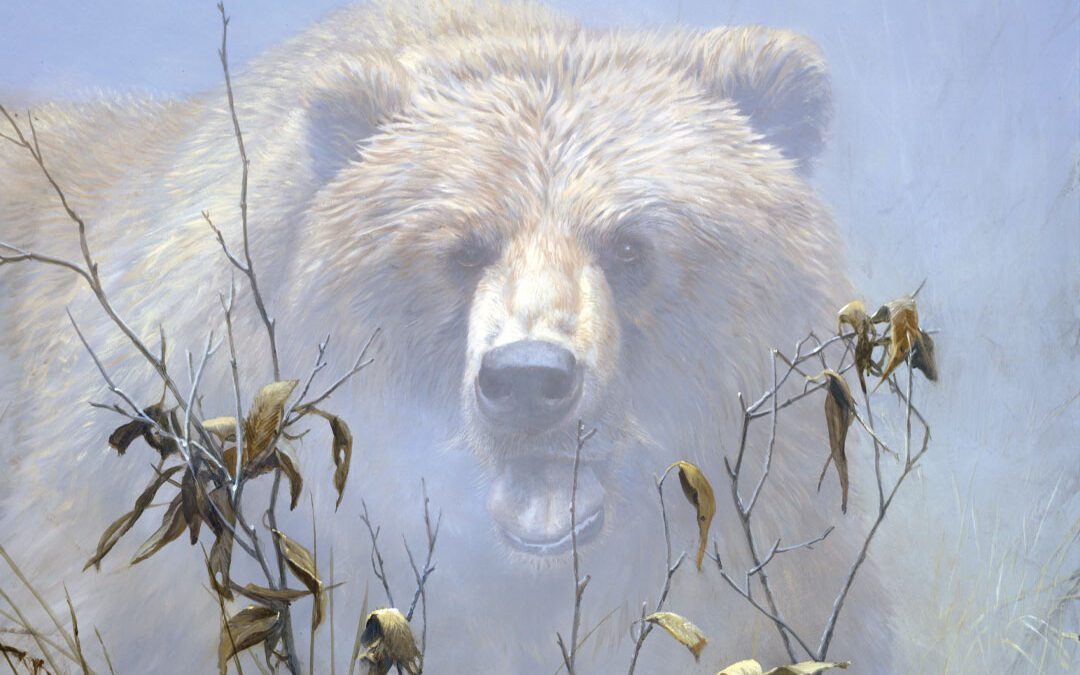 Grizzly Encounter