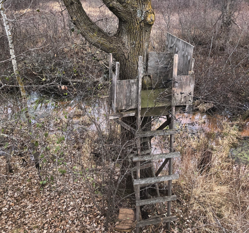 Old Tree Stands - Sporting Classics Daily