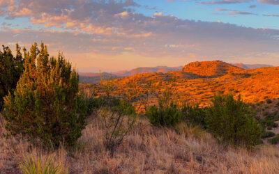 Best Little Aoudad Hunt, Texas