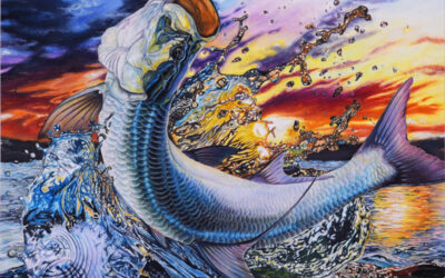 Florida Fish Art Contest 2022