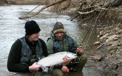 Steelhead Fishing in Ohio? Good News.