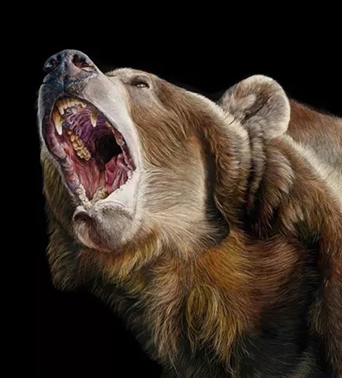 Bear roaring