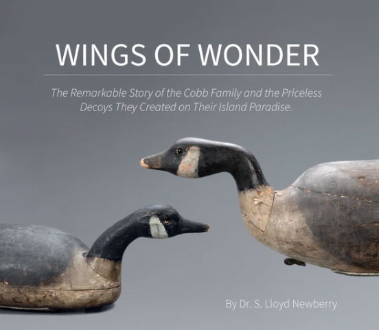 wings of wonder cover