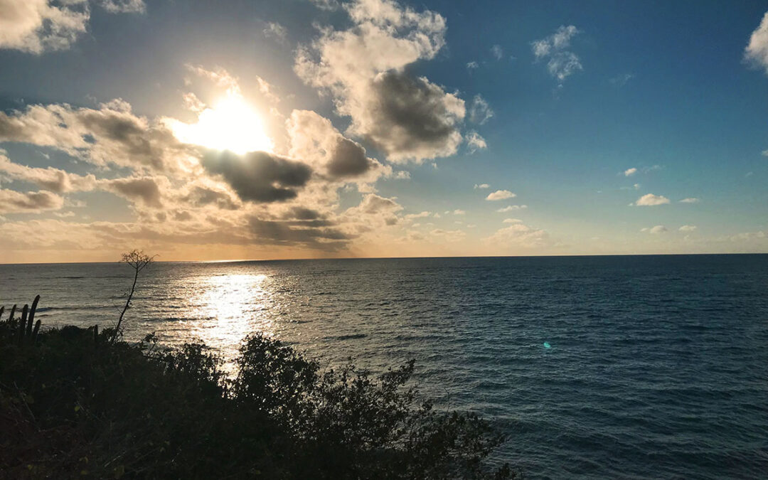 Dispatch From the Caribbean 2