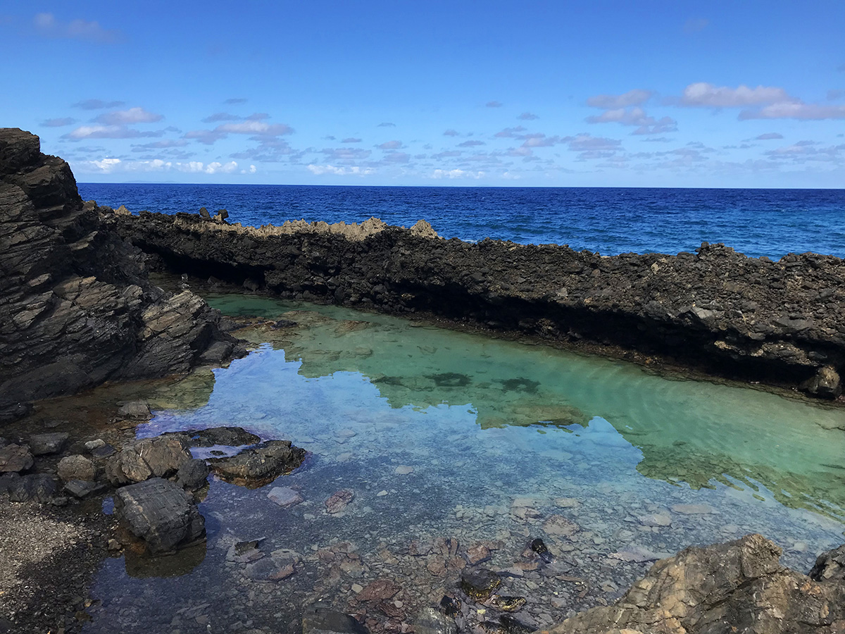 tide pool