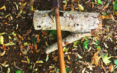 Hunting with Dad – Hare Hatchet